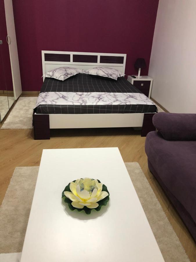 Cozy Studio Romexpo Appartamento Bucarest